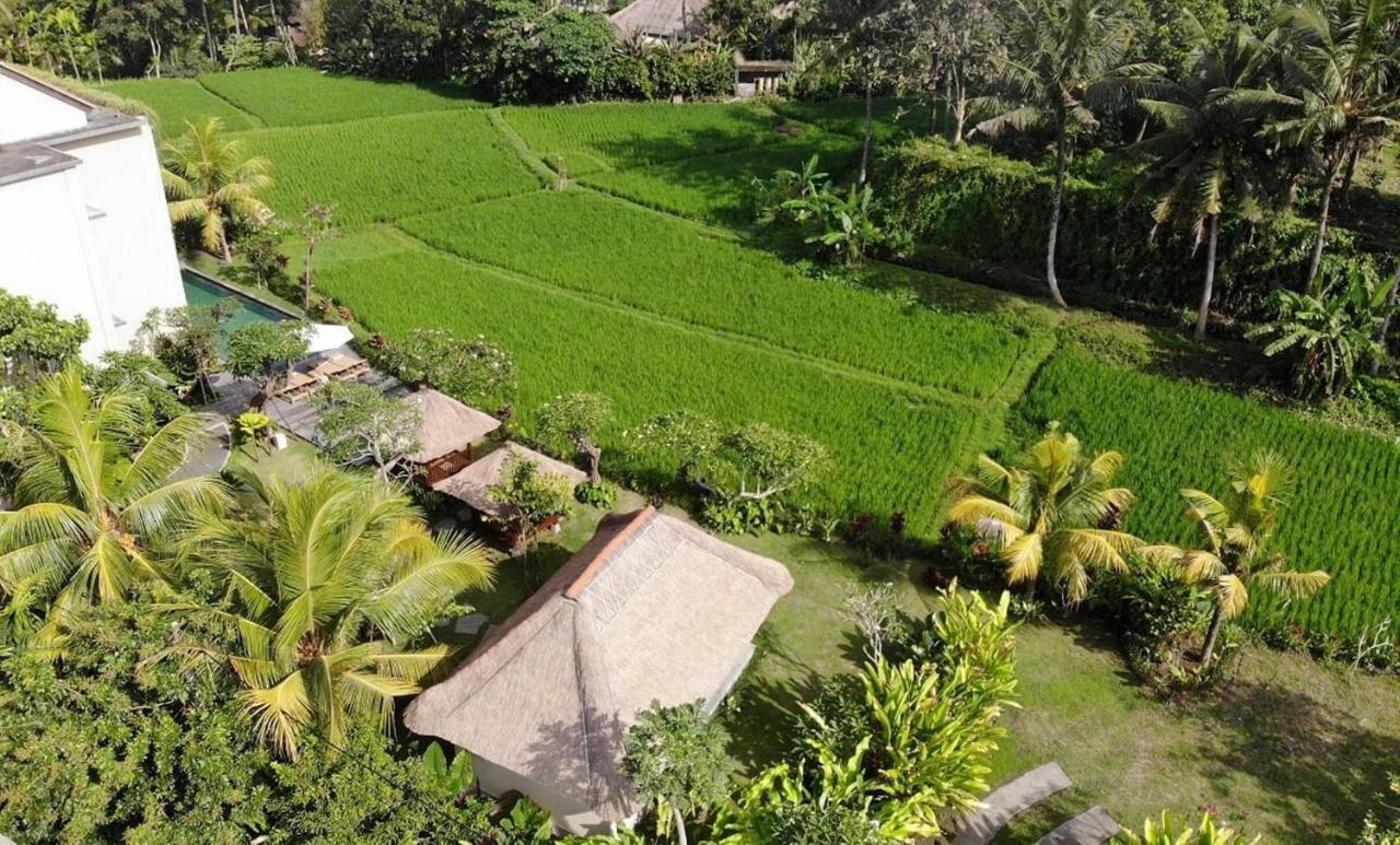 Byasa Ubud מראה חיצוני תמונה